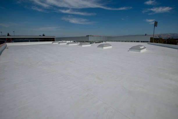 Professional Roofing Service  in Pierson, FL